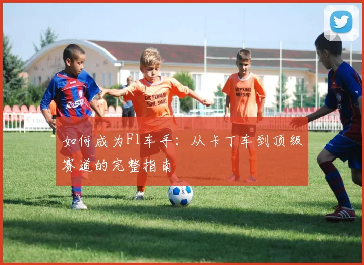 如何成为F1车手：从卡丁车到顶级赛道的完整指南